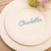 Laser Cut Acrylic Wedding Place Names - Image 2