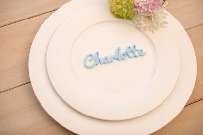 Laser Cut Acrylic Wedding Place Names - Image 2