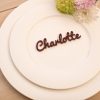 Laser Cut Acrylic Wedding Place Names - Image 8