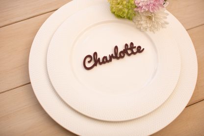 Laser Cut Acrylic Wedding Place Names - Image 8