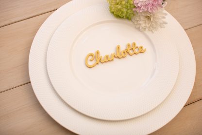 Laser Cut Acrylic Wedding Place Names - Image 7