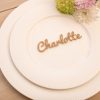 Laser Cut Acrylic Wedding Place Names - Image 5