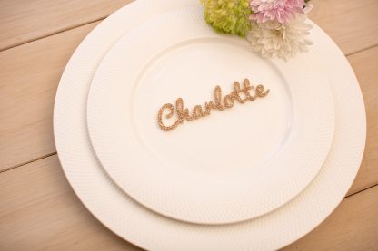 Laser Cut Acrylic Wedding Place Names - Image 5