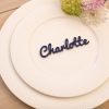 Laser Cut Acrylic Wedding Place Names - Image 6