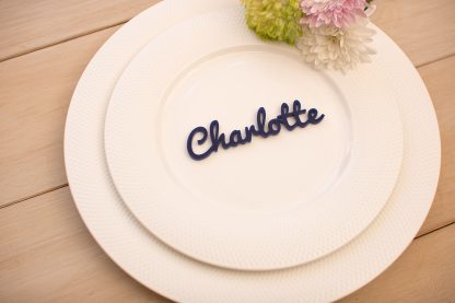 Laser Cut Acrylic Wedding Place Names - Image 6