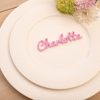 Laser Cut Acrylic Wedding Place Names - Image 9
