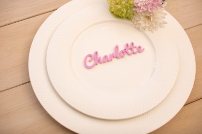 Laser Cut Acrylic Wedding Place Names - Image 9