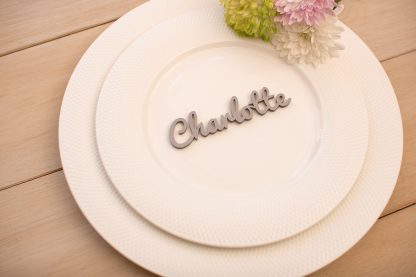 Laser Cut Acrylic Wedding Place Names - Image 3