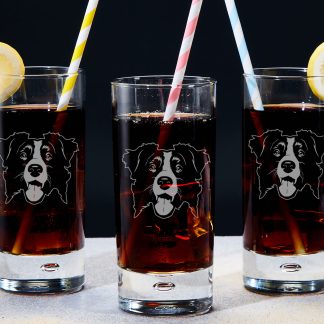 Border Collie Highball Glass - Pack of Three