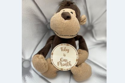 Baby Milestone Wooden Disc Set - Image 2