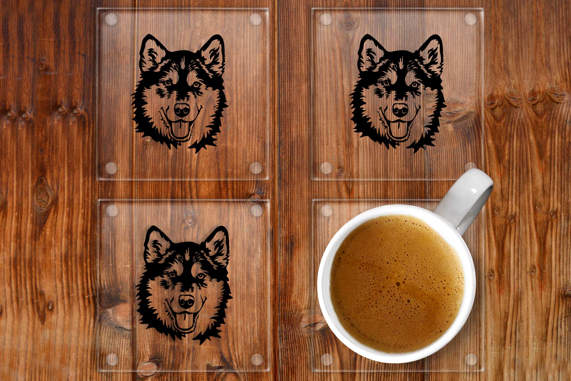 Alaskan Malamute glass coasters