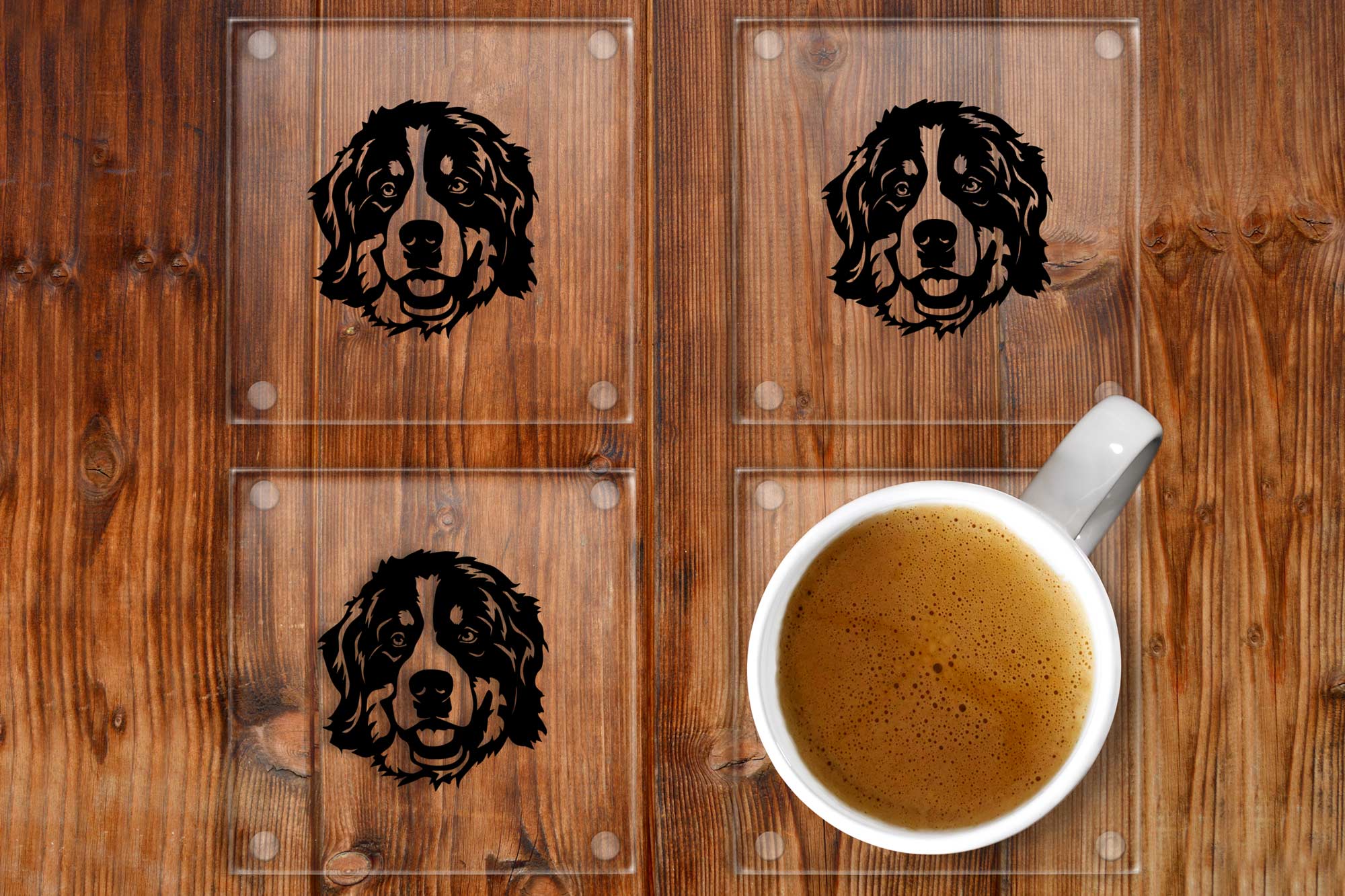 Bernese Mountain Dog Glass Drinks Coasters