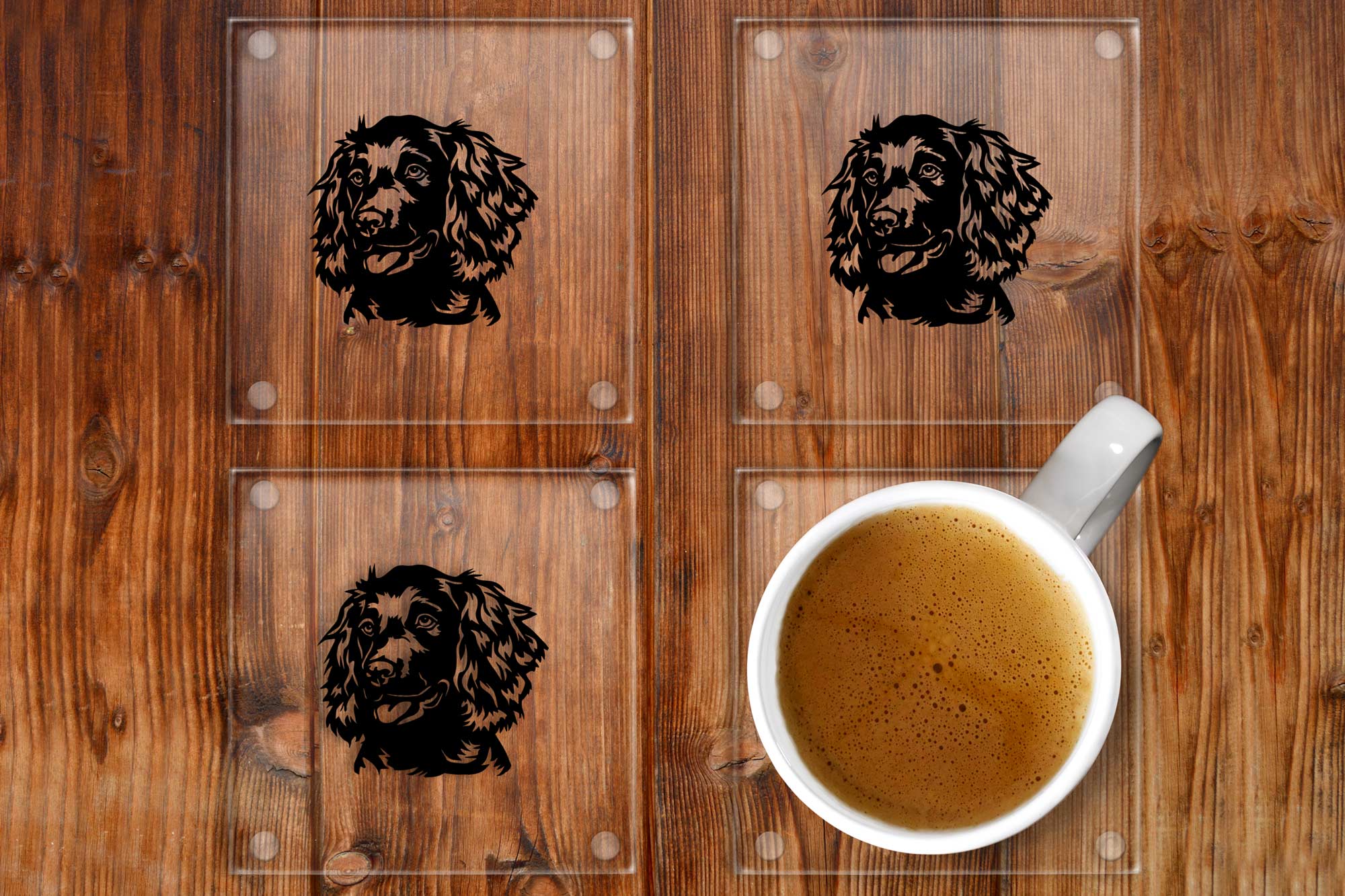 Boykin Spaniel glass coasters