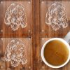 Italian Spinone Glass Drinks Coasters