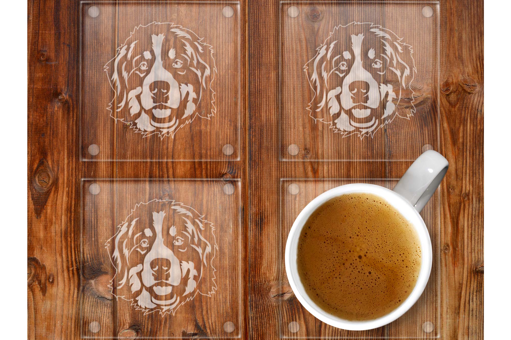 Bernese Mountain dog Glass coaster