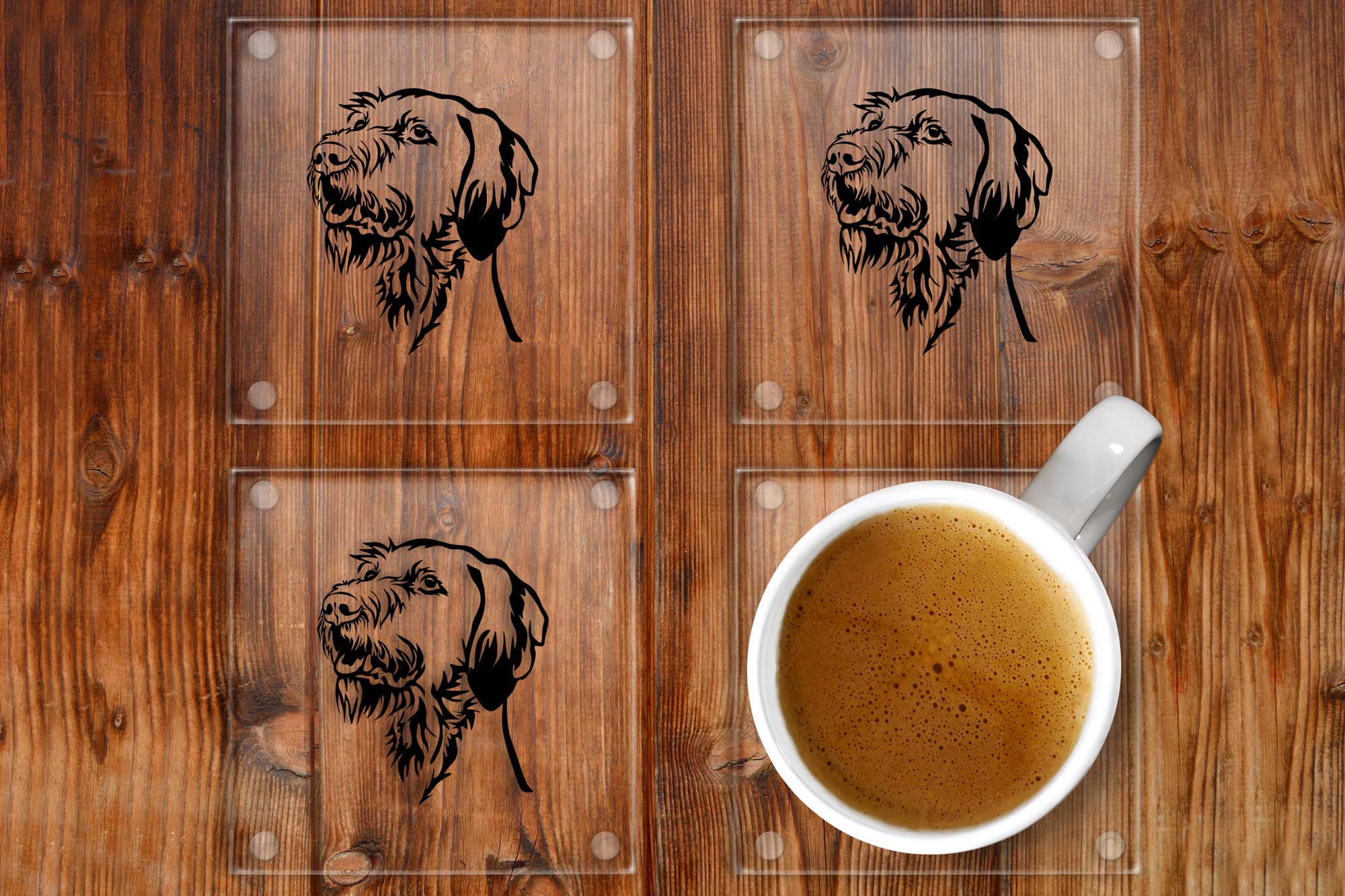 Hungarian Wirehaired Vizsla glass coasters