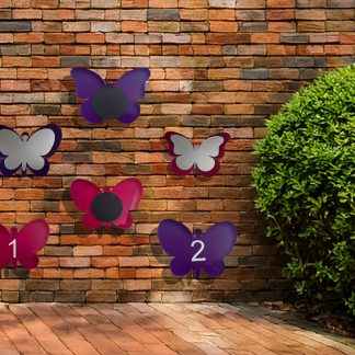 Set of 2 Acrylic Butterfly Shapes