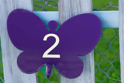 Set of 2 Acrylic Butterfly Shapes