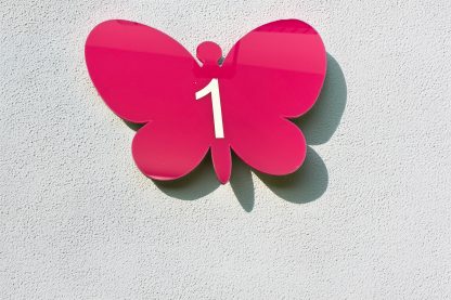 Set of 2 Acrylic Butterfly Shapes